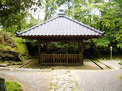 金城霊澤
