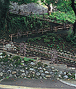 W坂