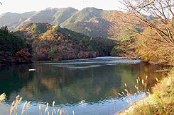 丹生大師神宮寺