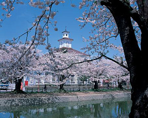 鶴岡公園