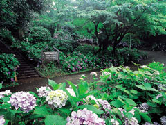 足羽山公園