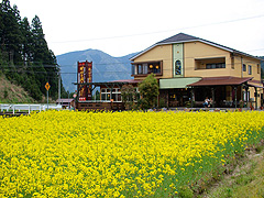 竹田の油あげ 谷口屋