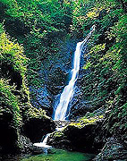 野鹿の滝