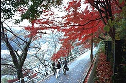 芥川桜堤公園