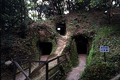 高井田山古墳