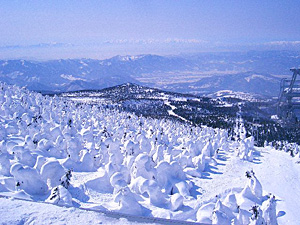蔵王温泉スキー場