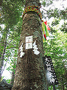 新屋 山神社 奥宮