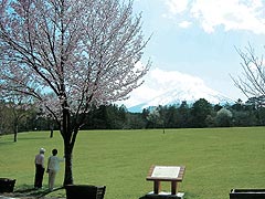 富士パインズパーク