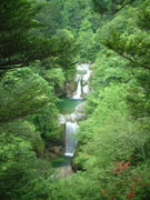 尾白川渓谷