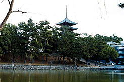 奈良公園