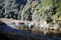 雨山観光農園