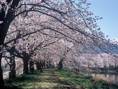 治田公園