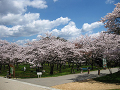 アルプス公園