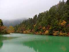 大沼池