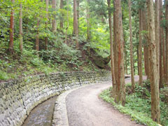 ゆみち遊歩道