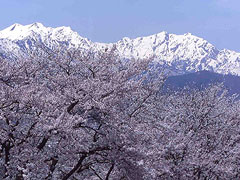 大町公園