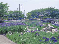 龍門淵公園