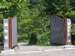 軽井沢町植物園