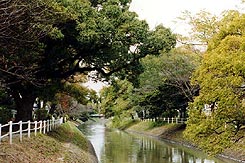 佐賀市徐福長寿館・薬用植物園