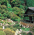 開善寺