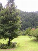 岐阜県民いこいの森