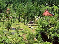 荘川であいの森