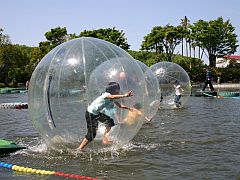 伊豆ぐらんぱる公園