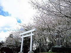 蒲原城址