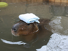 ノースサファリサッポロ
