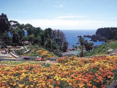 伊豆四季の花公園