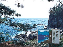 城ケ崎自然研究路