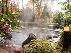 伊豆高原温泉 高原の湯