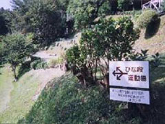 伊豆マウンテンドッグラン
