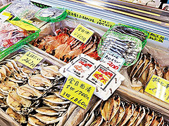 かま康