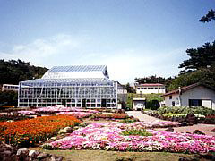 爪木崎花園