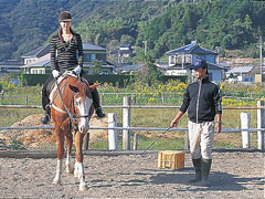 伊豆下田乗馬クラブ
