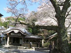 明徳寺