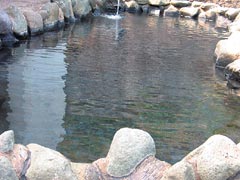 雲見温泉赤井浜露天風呂