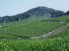 火剣山