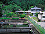 川の家