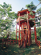 黄金岬