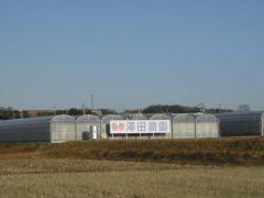 澤田農園