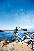 レンタサイクル