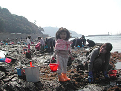 西浦海岸