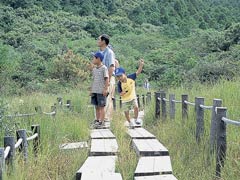 葦毛湿原