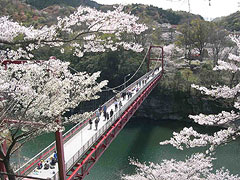 桜淵公園
