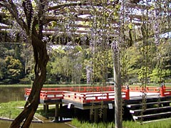 勾玉池