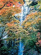 六十尋滝