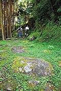 波田須の道