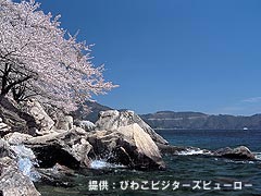 海津大崎